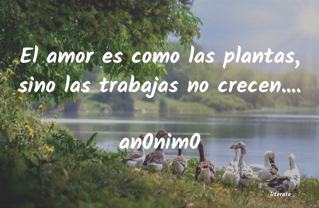 An0nim0: El amor es como las plantas, s