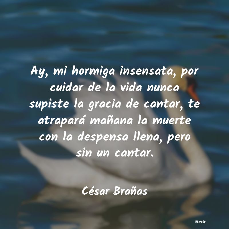 frases de CÃ©sar BraÃ±as