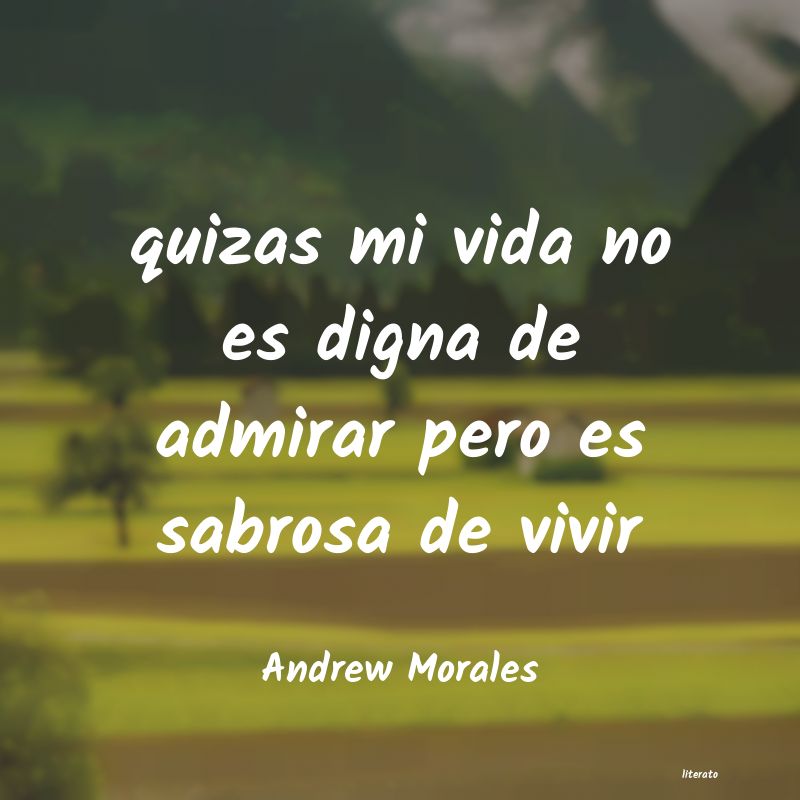 Frases de Andrew Morales