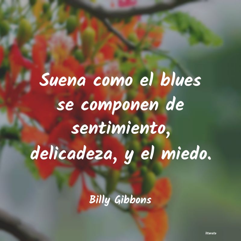 Frases de Billy Gibbons