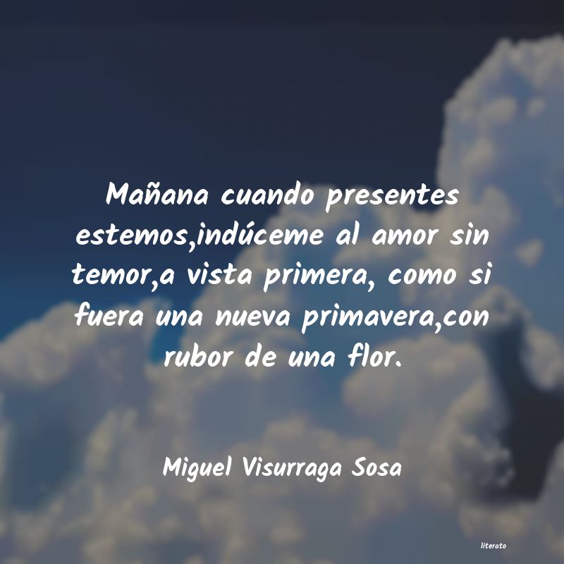frases de Miguel Visurraga Sosa