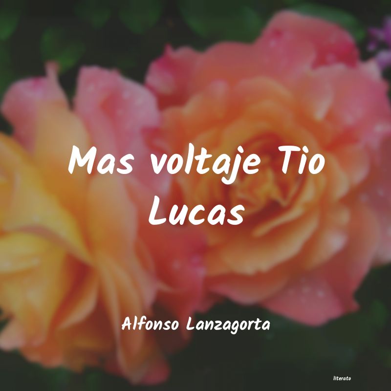 frases de Alfonso Lanzagorta