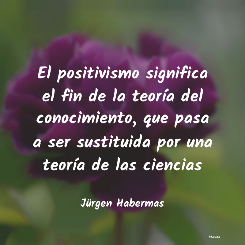 Frases de Jürgen Habermas