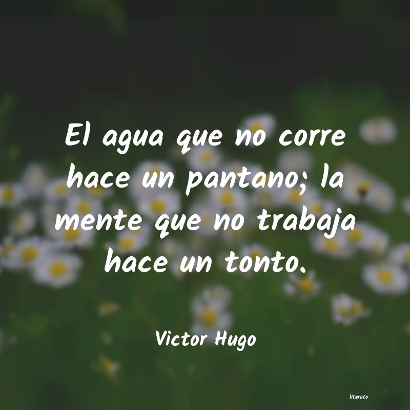 Frases de Victor Hugo