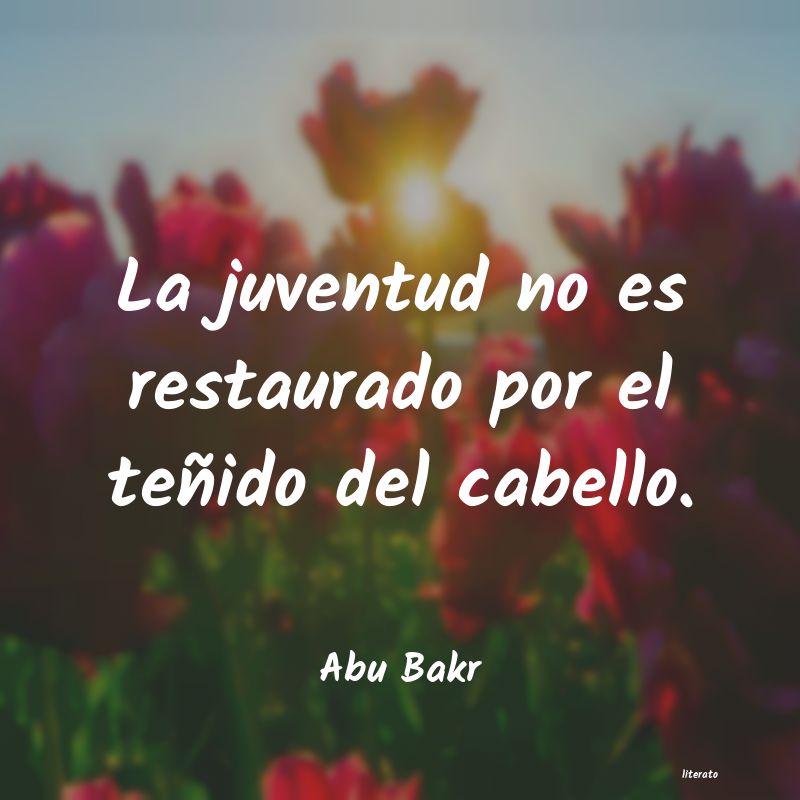 frases de Abu Bakr