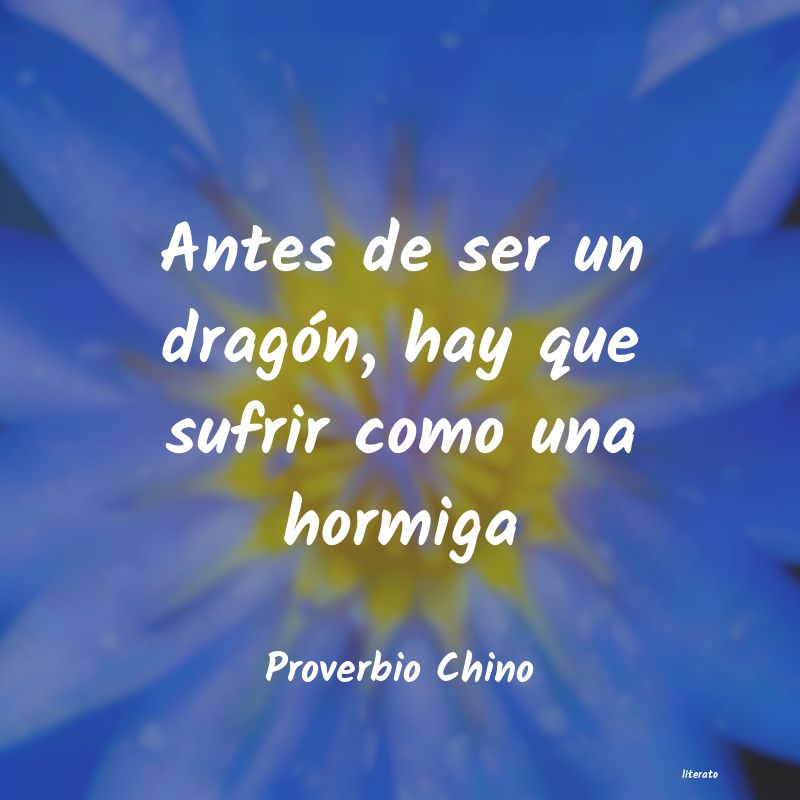 frases de Proverbio Chino