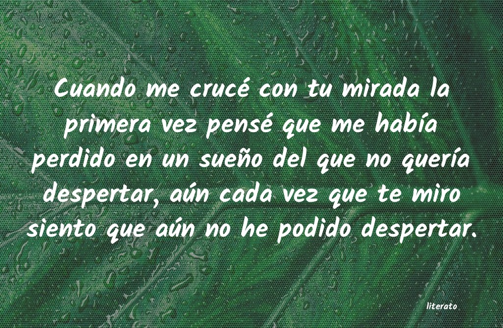frases