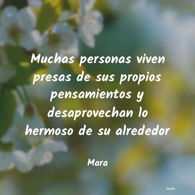 Frases de Mara