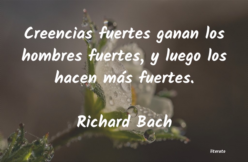 Frases de Richard Bach