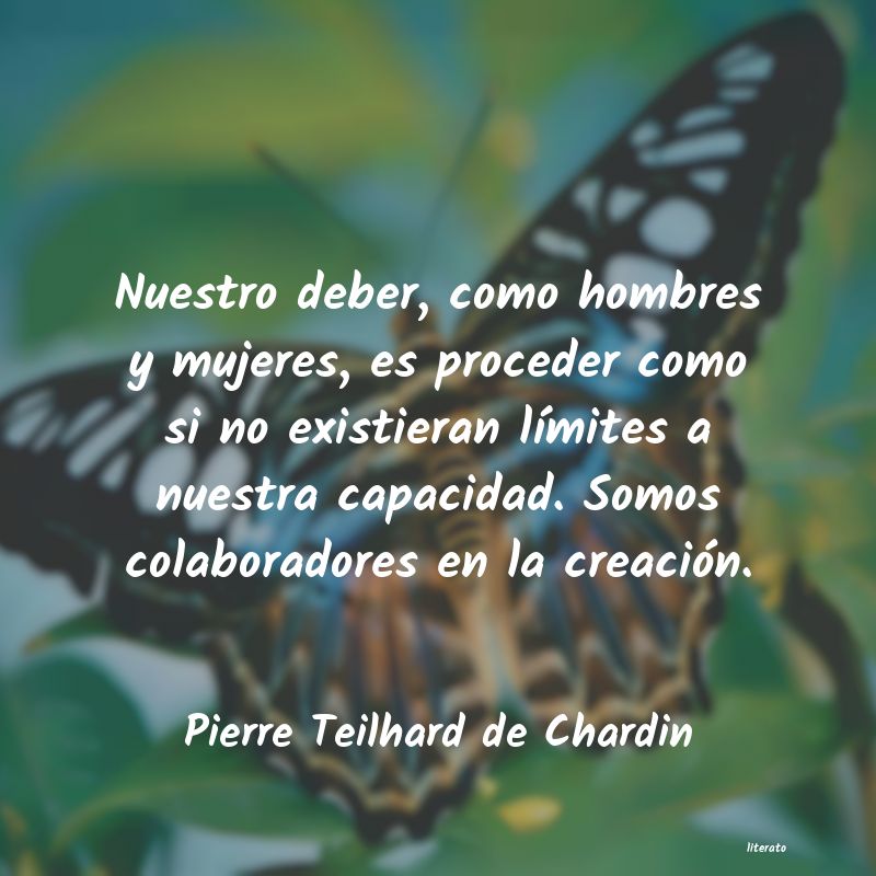 frases de Pierre Teilhard de Chardin