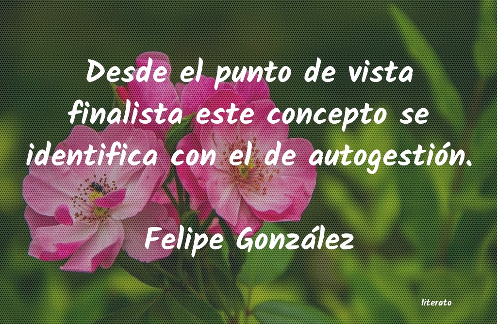 Frases de Felipe González