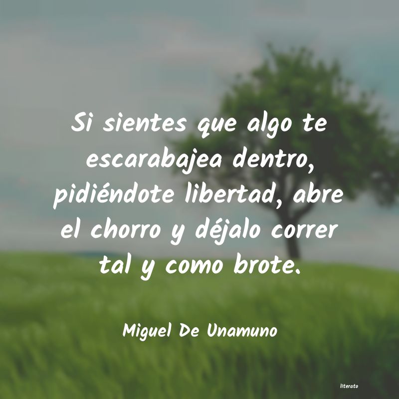 Frases de Miguel De Unamuno