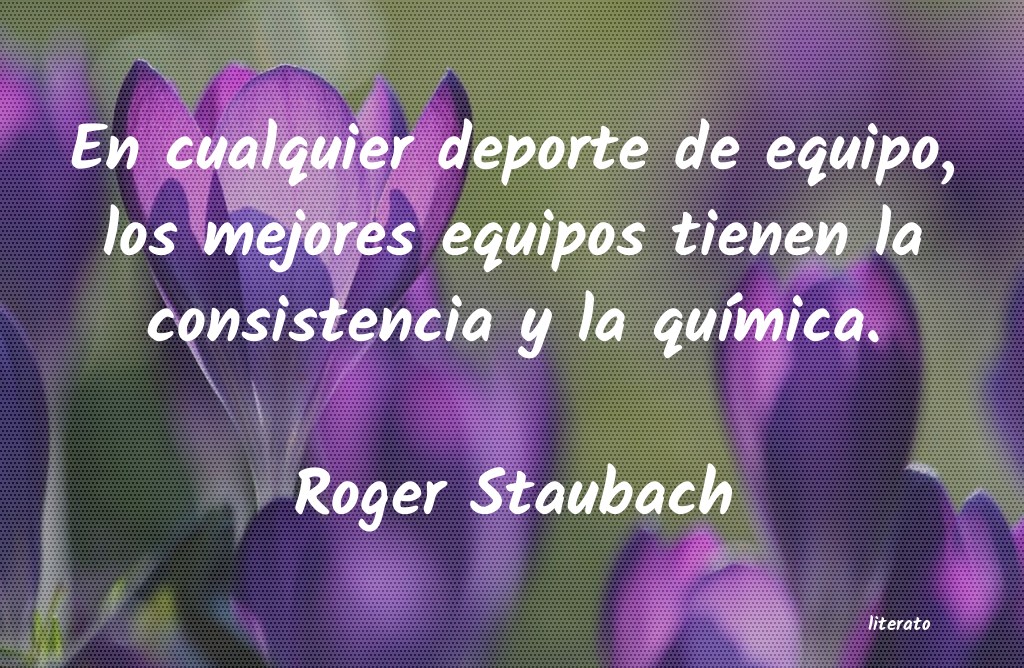 Frases de Roger Staubach