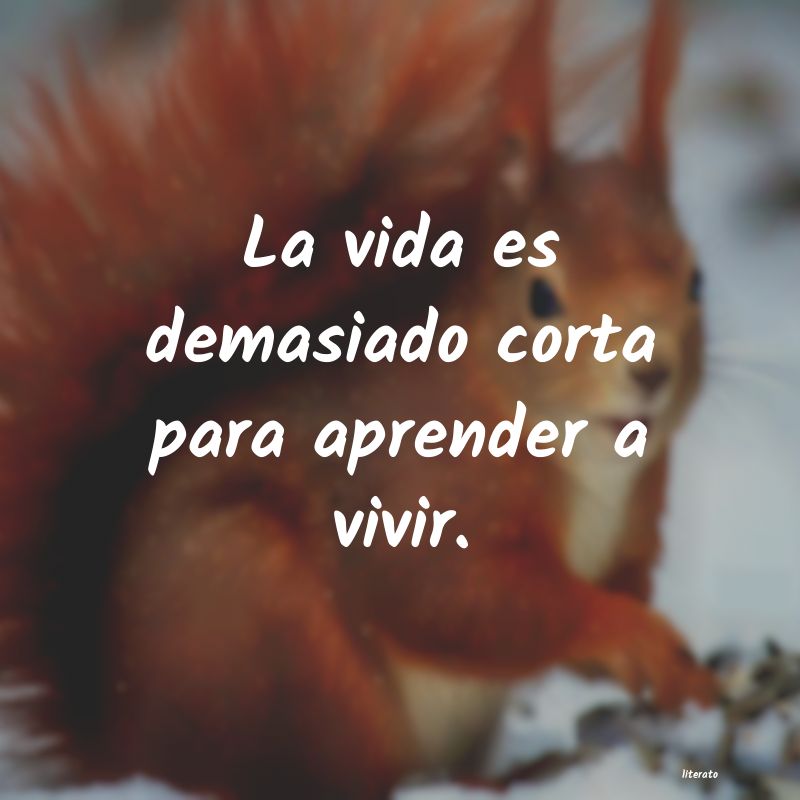 frases