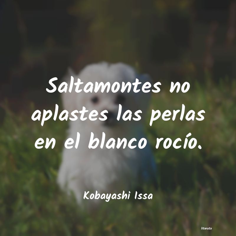 tus dientes son perlas