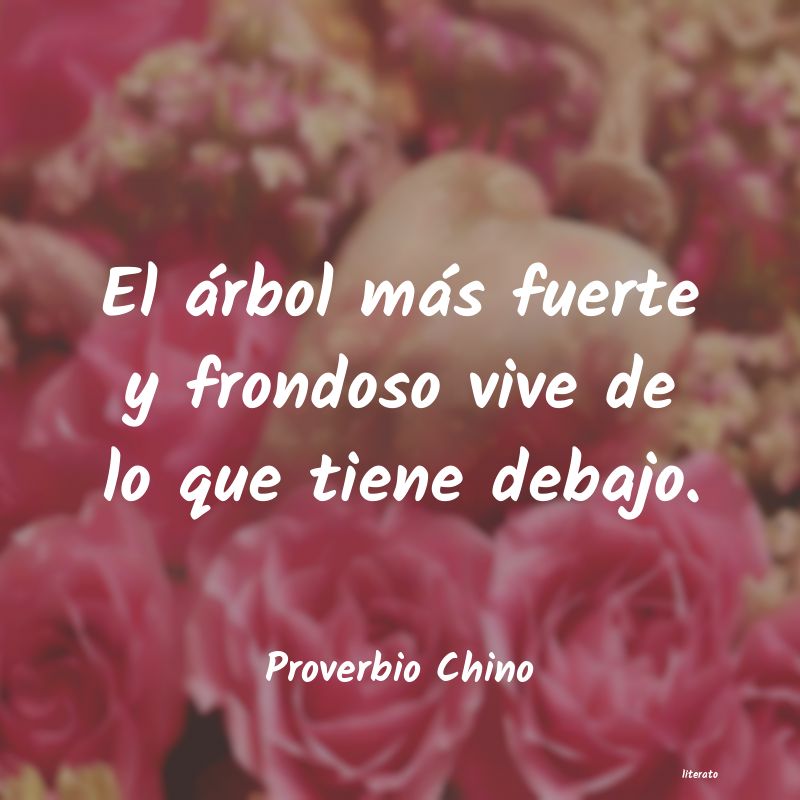 Frases de Proverbio Chino