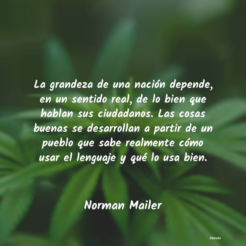 frases de Norman Mailer