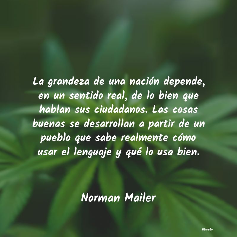 Frases de Norman Mailer