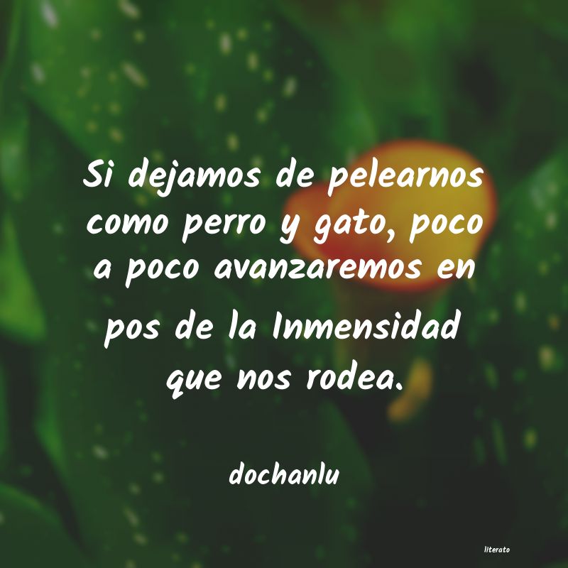 Frases de dochanlu