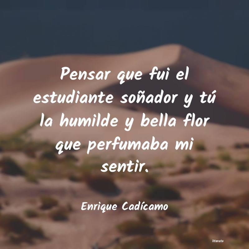 frases de Enrique CadÃcamo