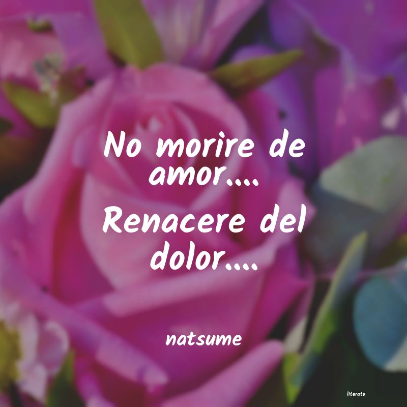 frases de natsume