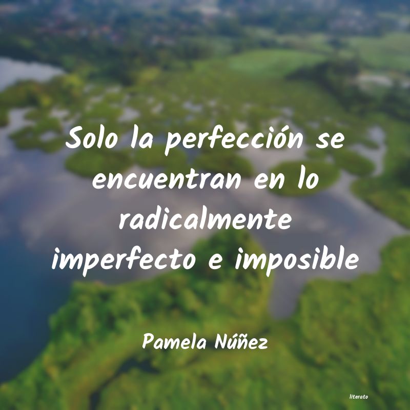 Frases de Pamela Núñez