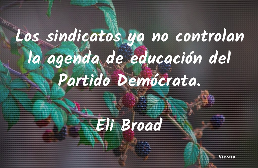 Frases de Eli Broad