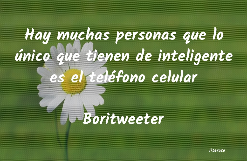 Frases de Boritweeter