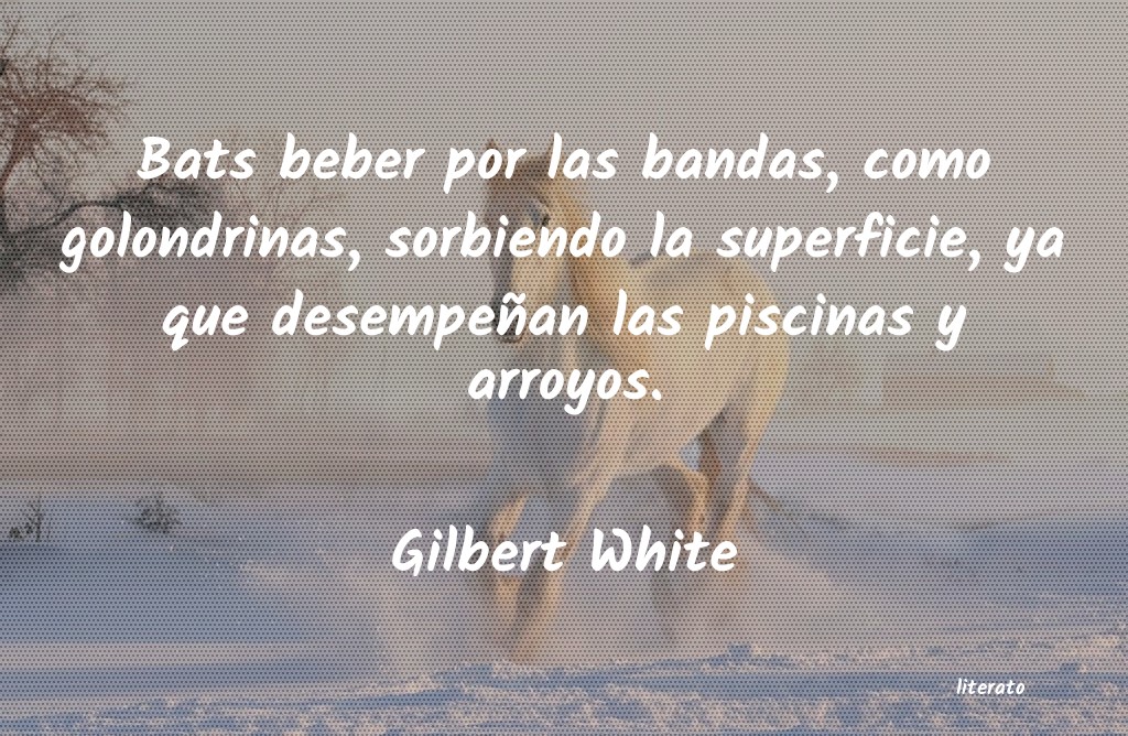 Frases de Gilbert White