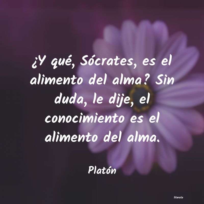 Frases de Platón