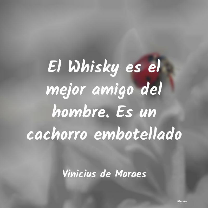 frases de Vinicius de Moraes