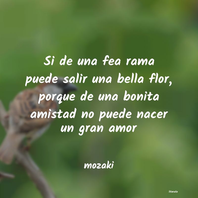 frases de mozaki