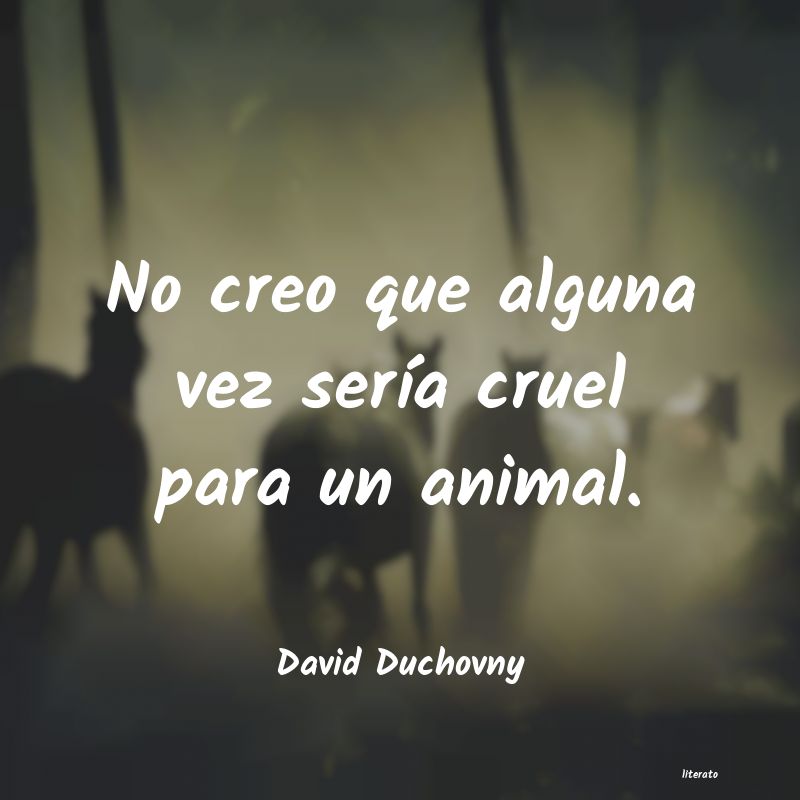 frases de David Duchovny