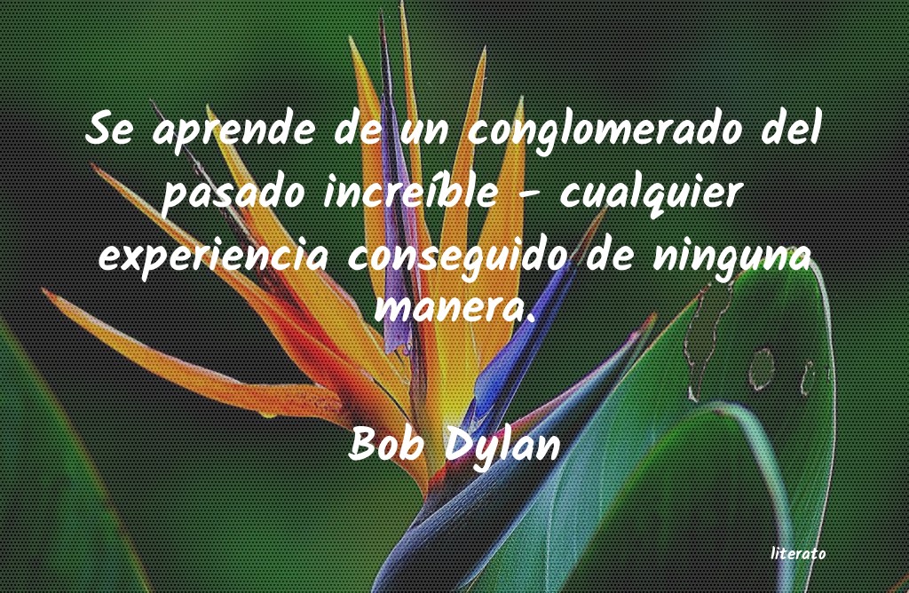 Frases de Bob Dylan