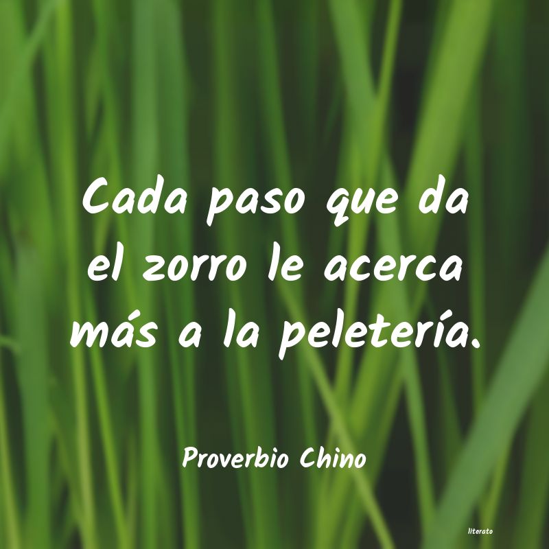 frases de Proverbio Chino