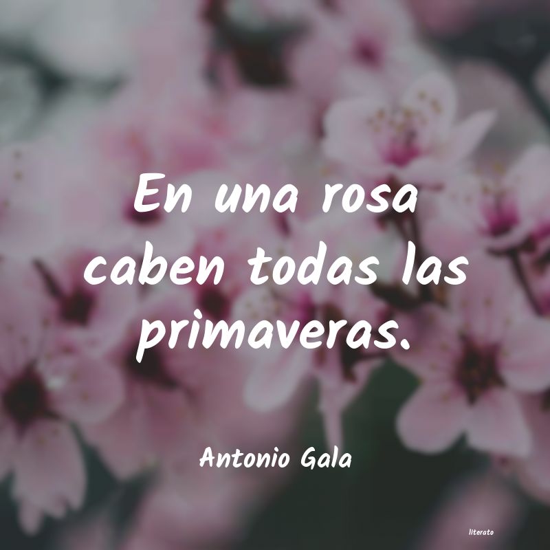 frases de Antonio Gala