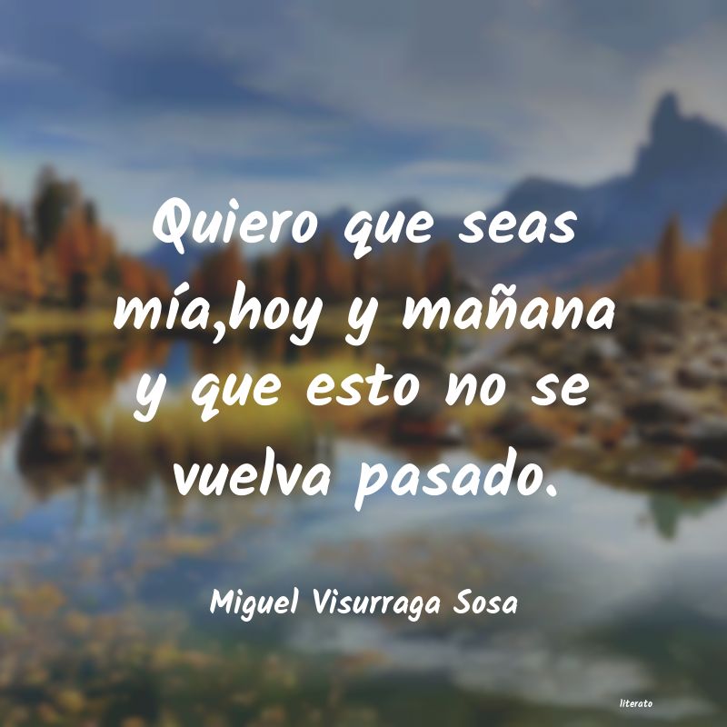 frases de Miguel Visurraga Sosa