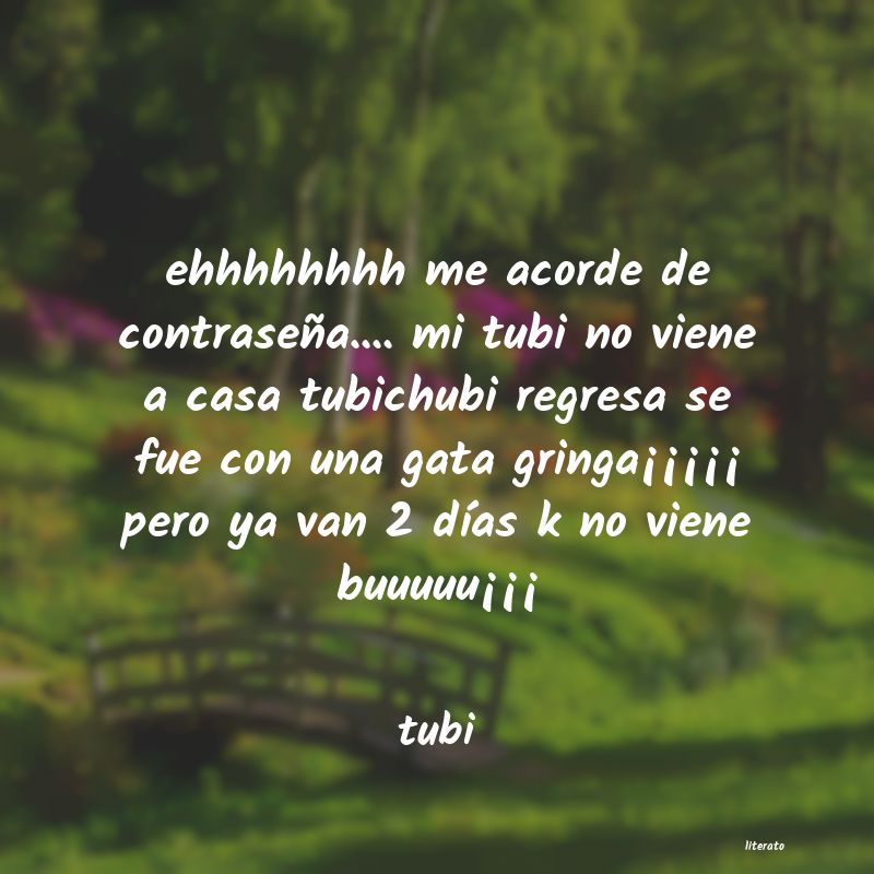 Frases de tubi