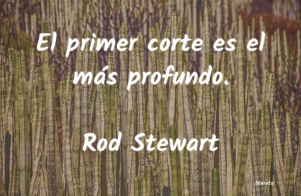 frases de Rod Stewart