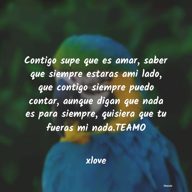 Xlove: Contigo supe que es amar, sabe