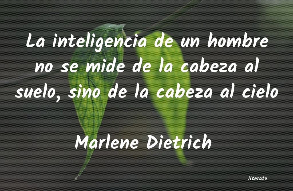 la inteligencia se mide de la cabeza al cielo