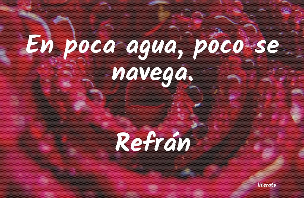 frases de Refrán