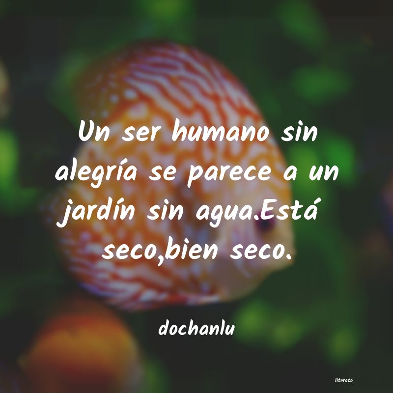 Frases de dochanlu