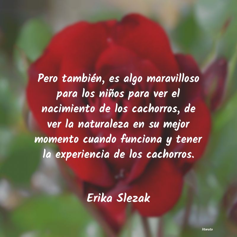 Frases de Erika Slezak