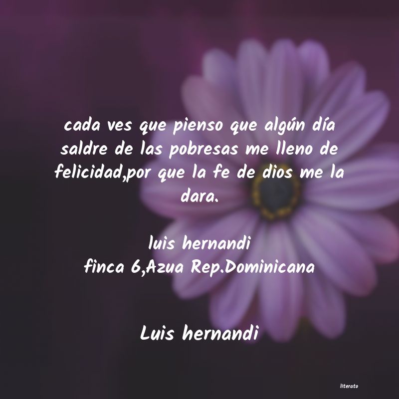 Frases de Luis hernandi