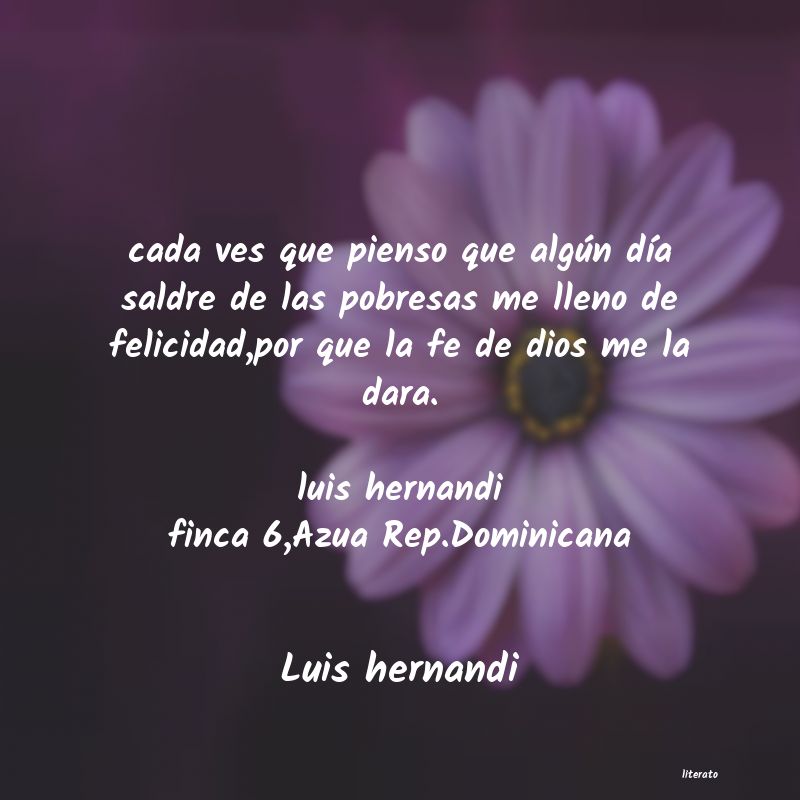 frases de Luis hernandi