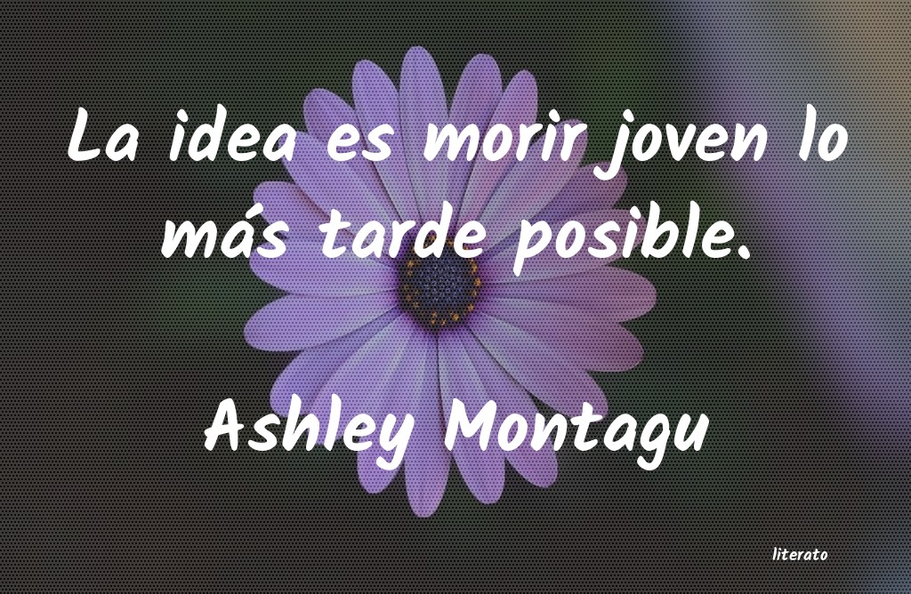 frases de Ashley Montagu