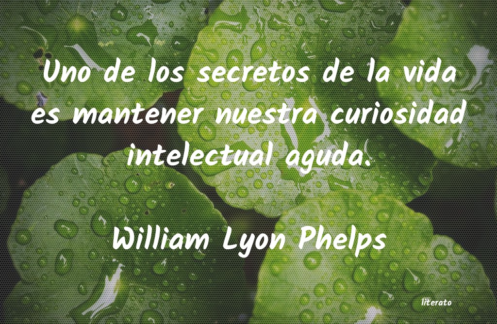 frases de William Lyon Phelps