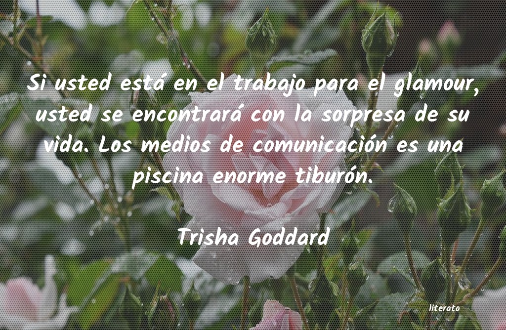 Frases de Trisha Goddard