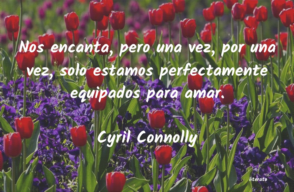 frases de Cyril Connolly